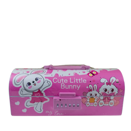 Password Suitcase Pencil Box